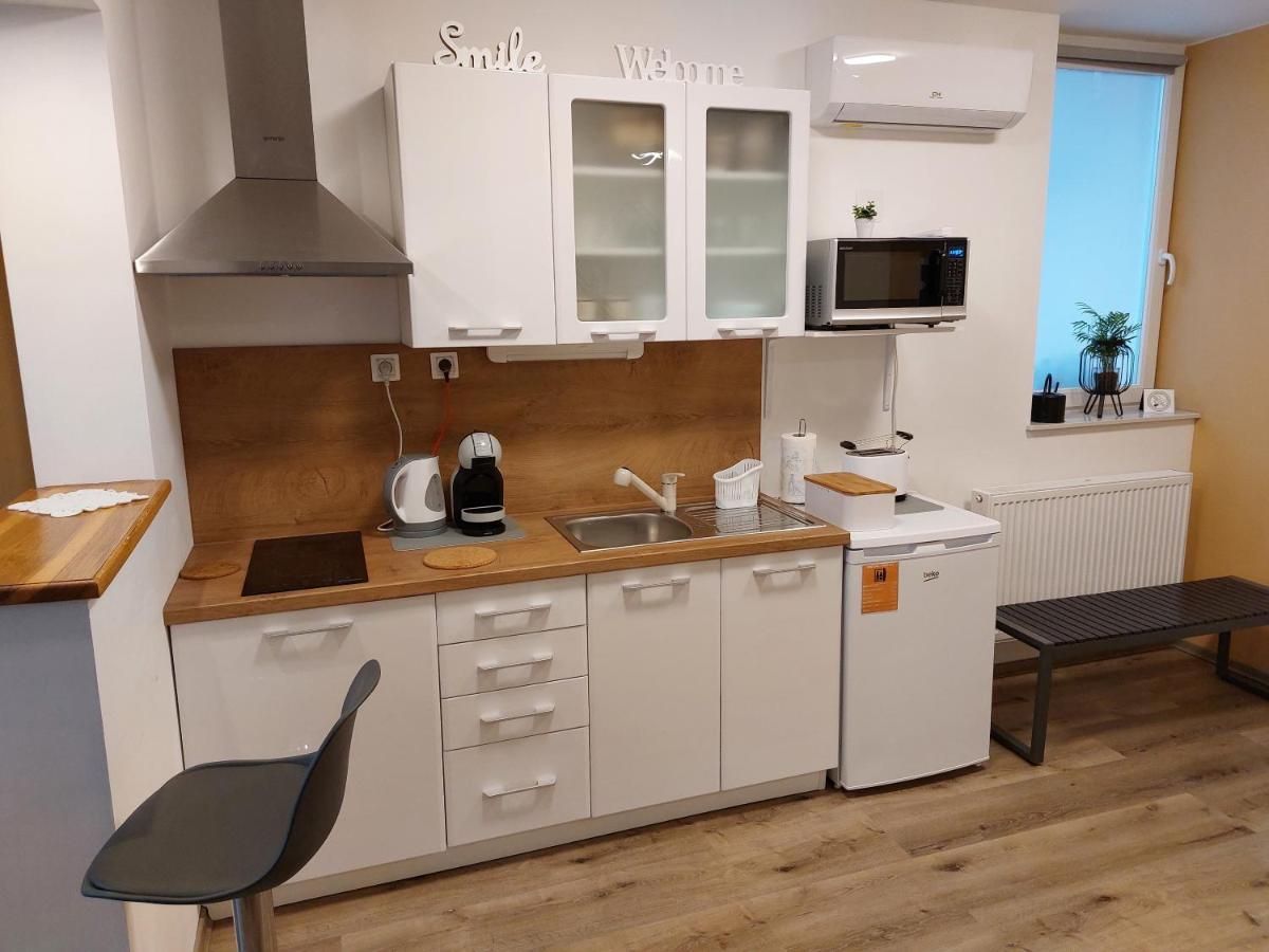 Apartment Alexandra Celje